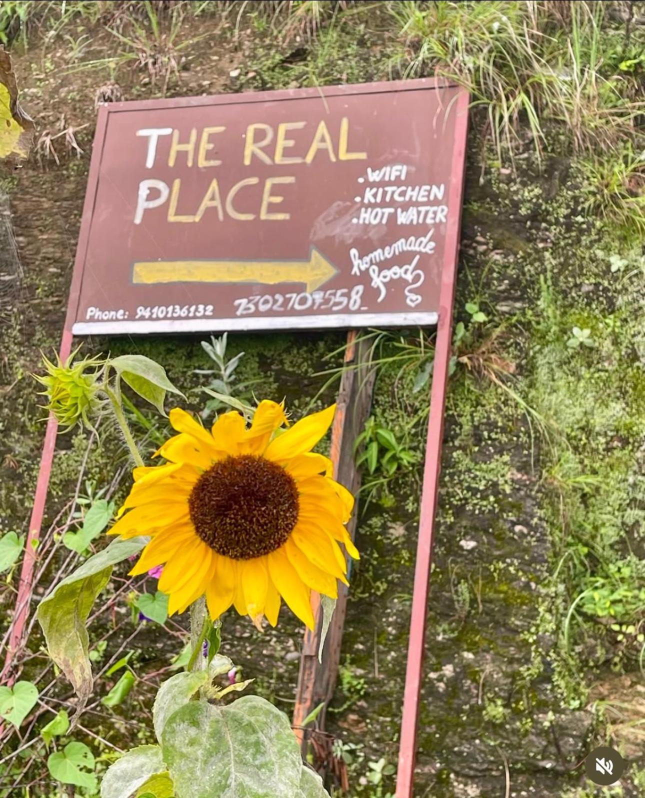The Real Place Almora Luaran gambar